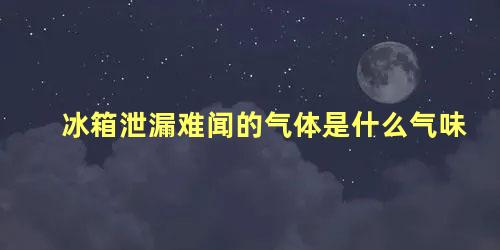 冰箱泄漏难闻的气体是什么气味