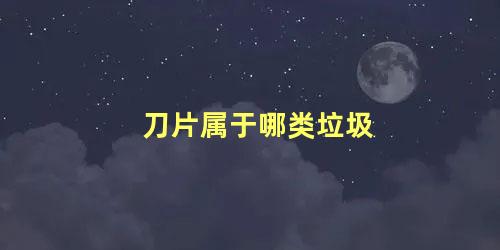 刀片属于哪类垃圾