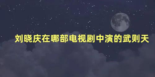 刘晓庆在哪部电视剧中演的武则天