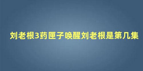 刘老根3药匣子唤醒刘老根是第几集