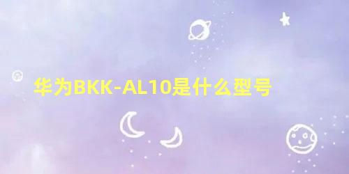 华为BKK-AL10是什么型号