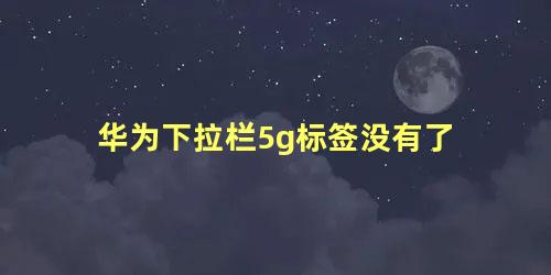 华为下拉栏5g标签没有了