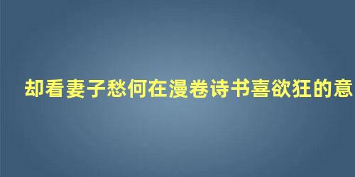 却看妻子愁何在漫卷诗书喜欲狂的意思