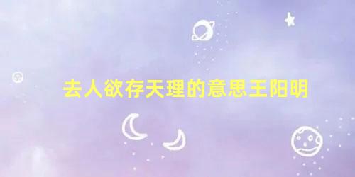 去人欲存天理的意思王阳明