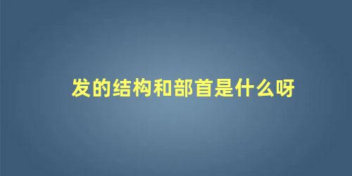 发的结构和部首是什么呀