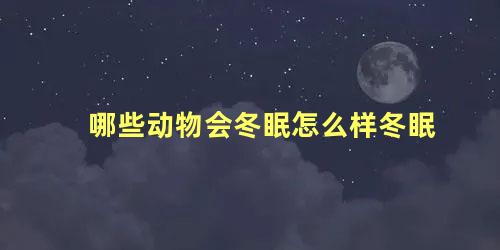 哪些动物会冬眠怎么样冬眠