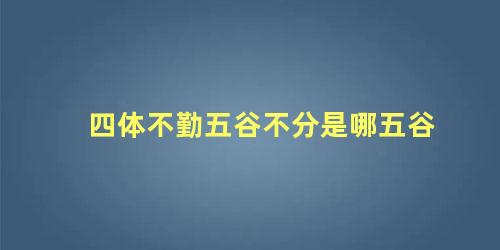 四体不勤五谷不分是哪五谷