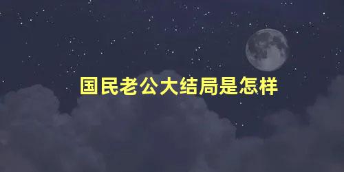 国民老公大结局是怎样