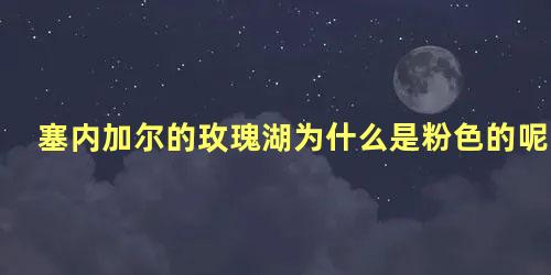 塞内加尔的玫瑰湖为什么是粉色的呢