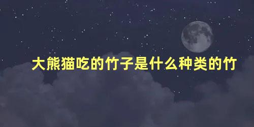 大熊猫吃的竹子是什么种类的竹