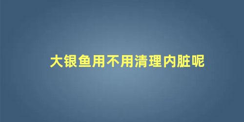 大银鱼用不用清理内脏呢