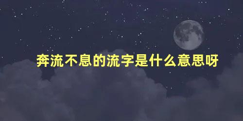 奔流不息的流字是什么意思呀