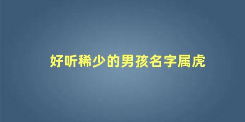 好听稀少的男孩名字属虎