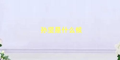 孙坚是什么候