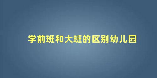 学前班和大班的区别幼儿园