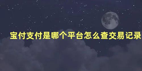 宝付支付是哪个平台怎么查交易记录