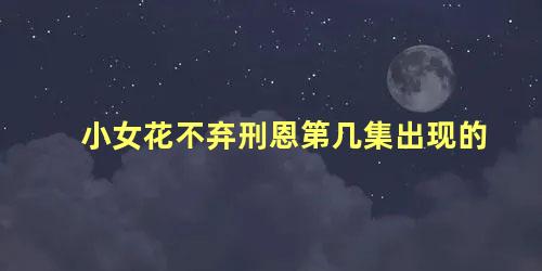 小女花不弃刑恩第几集出现的