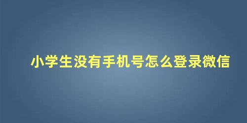 小学生没有手机号怎么登录微信