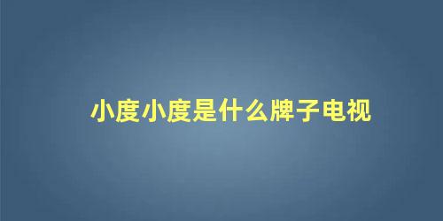 小度小度是什么牌子电视