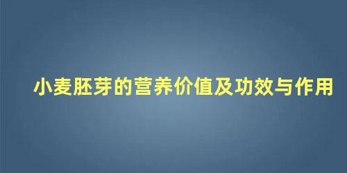 小麦胚芽的营养价值及功效与作用