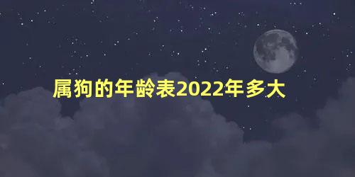 属狗的年龄表2022年多大