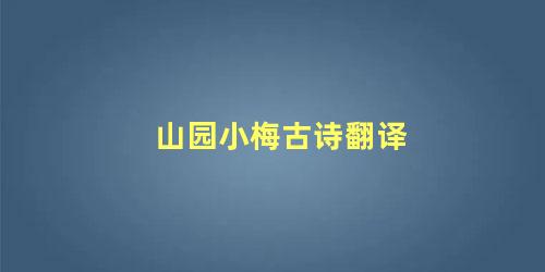 山园小梅古诗翻译