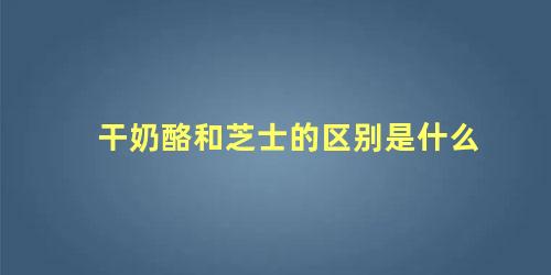 干奶酪和芝士的区别是什么