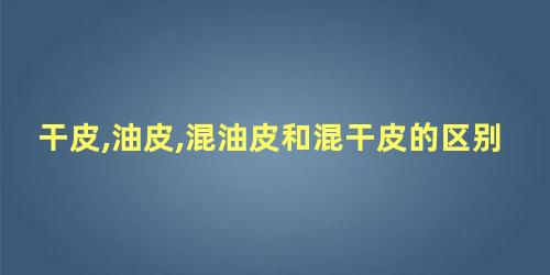 干皮,油皮,混油皮和混干皮的区别