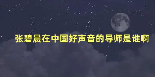 张碧晨在中国好声音的导师是谁啊