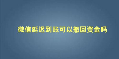 微信延迟到账可以撤回资金吗