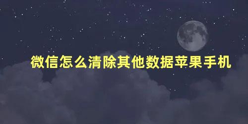 微信怎么清除其他数据苹果手机