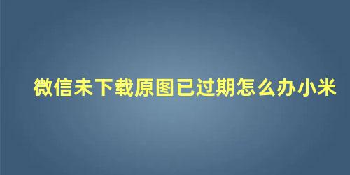 微信未下载原图已过期怎么办小米