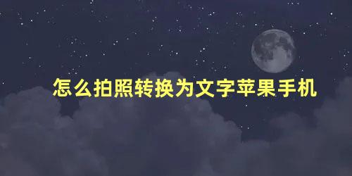 怎么拍照转换为文字苹果手机