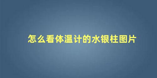 怎么看体温计的水银柱图片