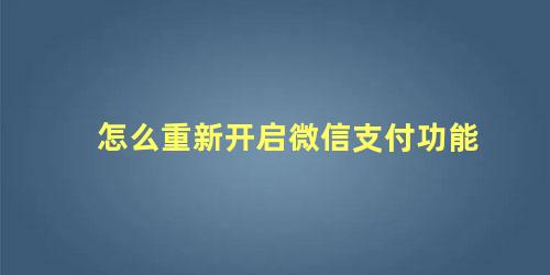 怎么重新开启微信支付功能