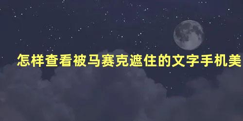 怎样查看被马赛克遮住的文字手机美图秀秀