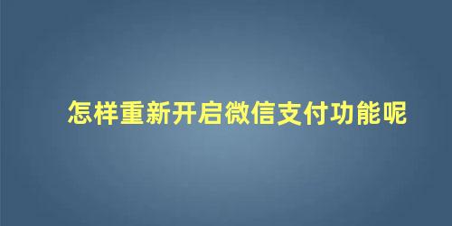 怎样重新开启微信支付功能呢