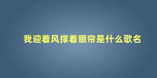 我迎着风撑着眼帘是什么歌名