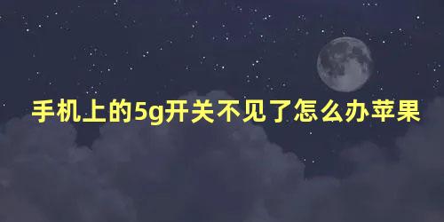 手机上的5g开关不见了怎么办苹果