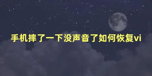 手机摔了一下没声音了如何恢复vivo