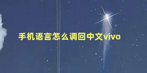 手机语言怎么调回中文vivo