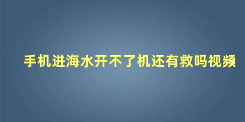 手机进海水开不了机还有救吗视频