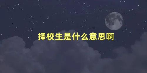 择校生是什么意思啊