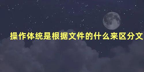 操作体统是根据文件的什么来区分文件类型