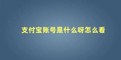 支付宝账号是什么呀怎么看