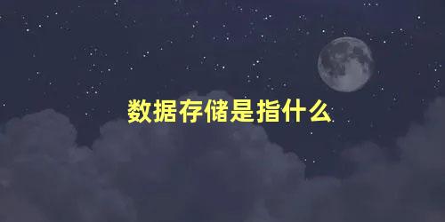 数据存储是指什么