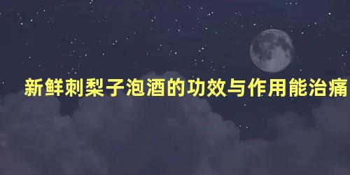 新鲜刺梨子泡酒的功效与作用能治痛疯嘛