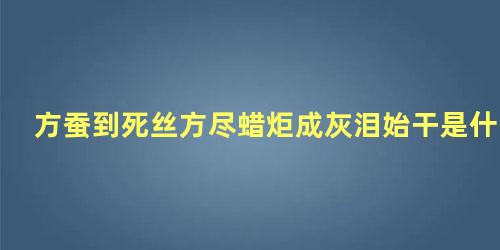 方蚕到死丝方尽蜡炬成灰泪始干是什么意思