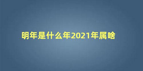 明年是什么年2021年属啥