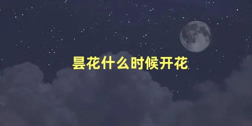 昙花什么时候开花